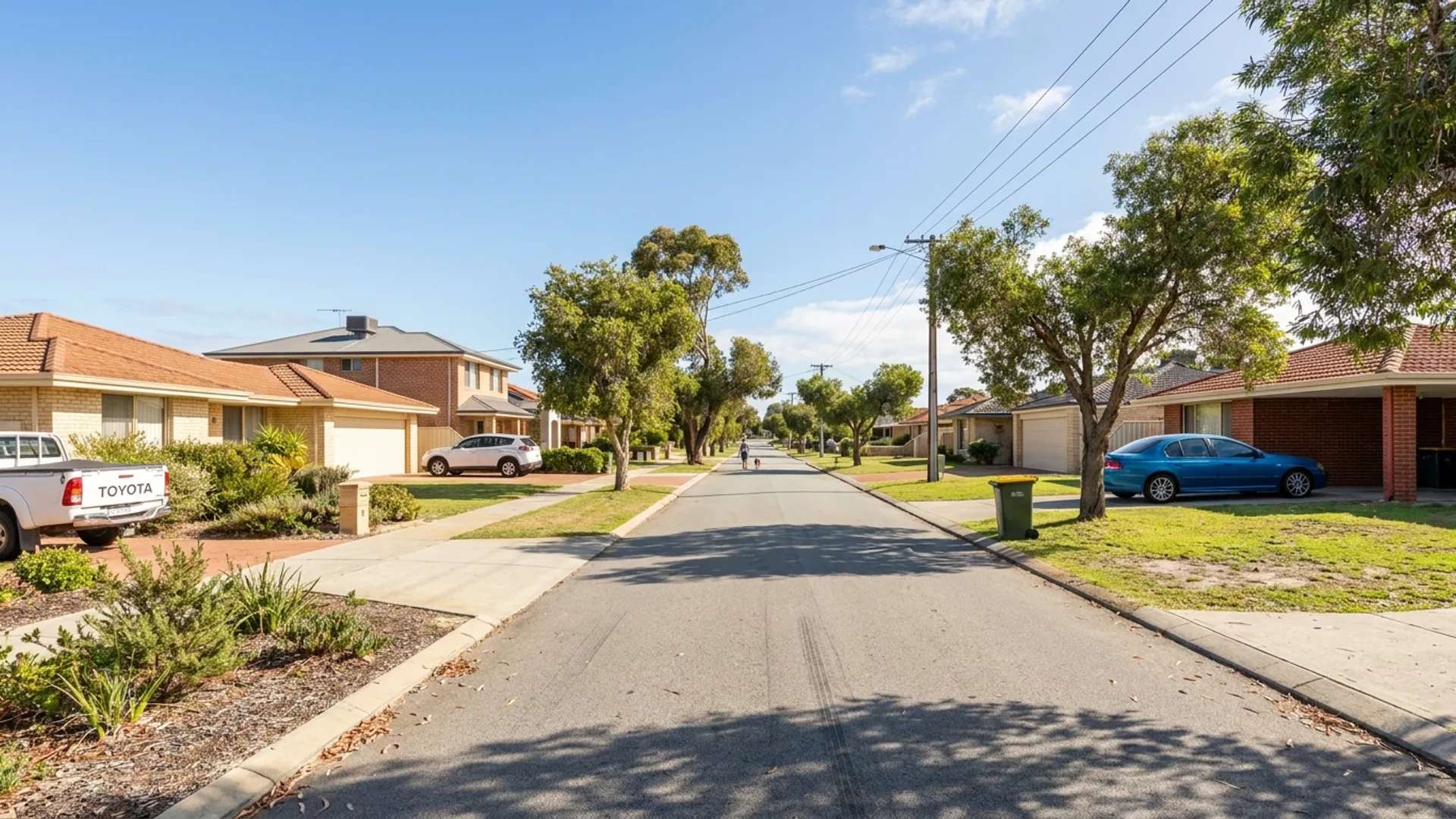 Building and pest inspections in Kallaroo Perth