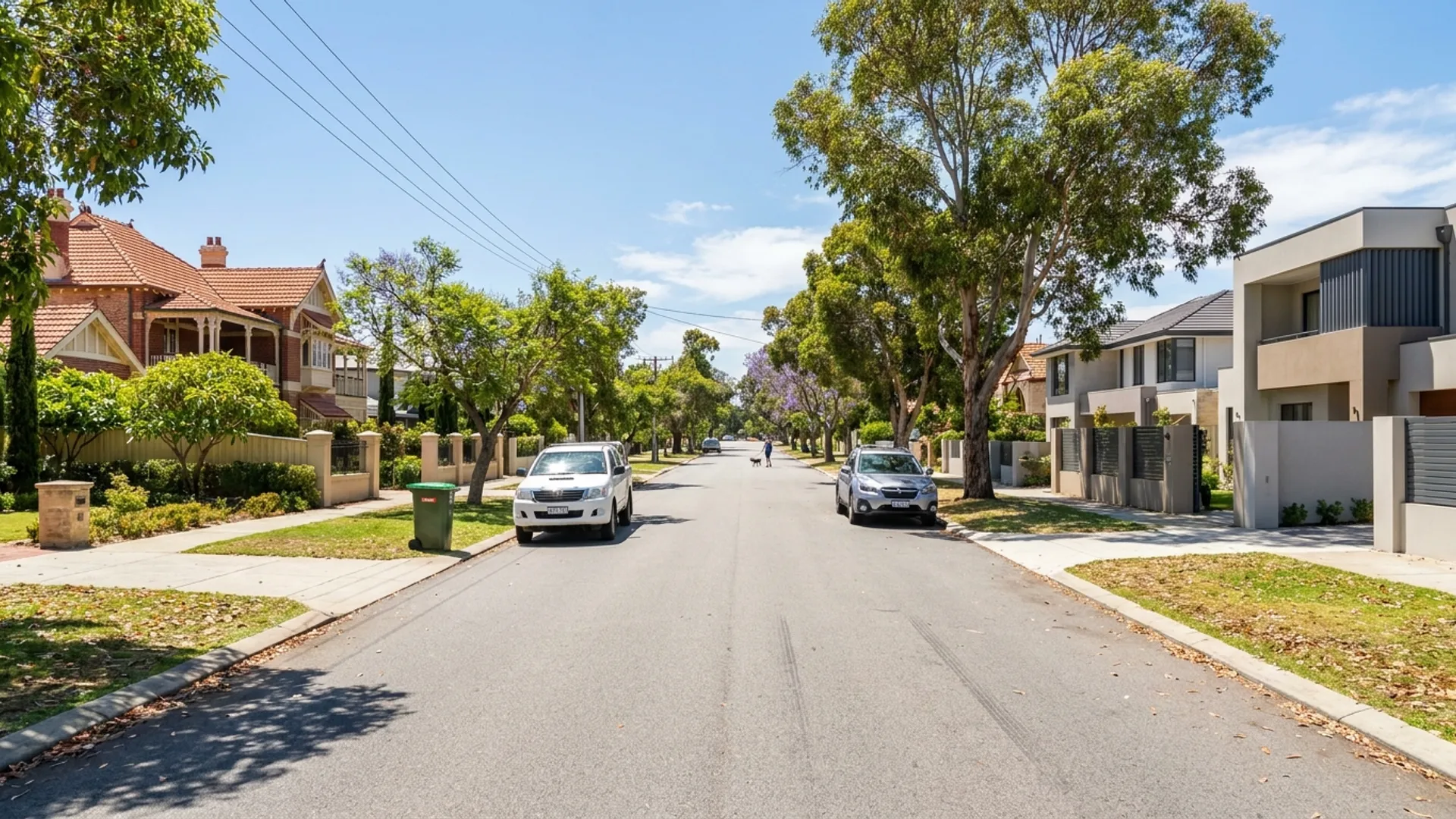 Building and pest inspections in Mosman Park Perth